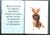 Обаятельной 2